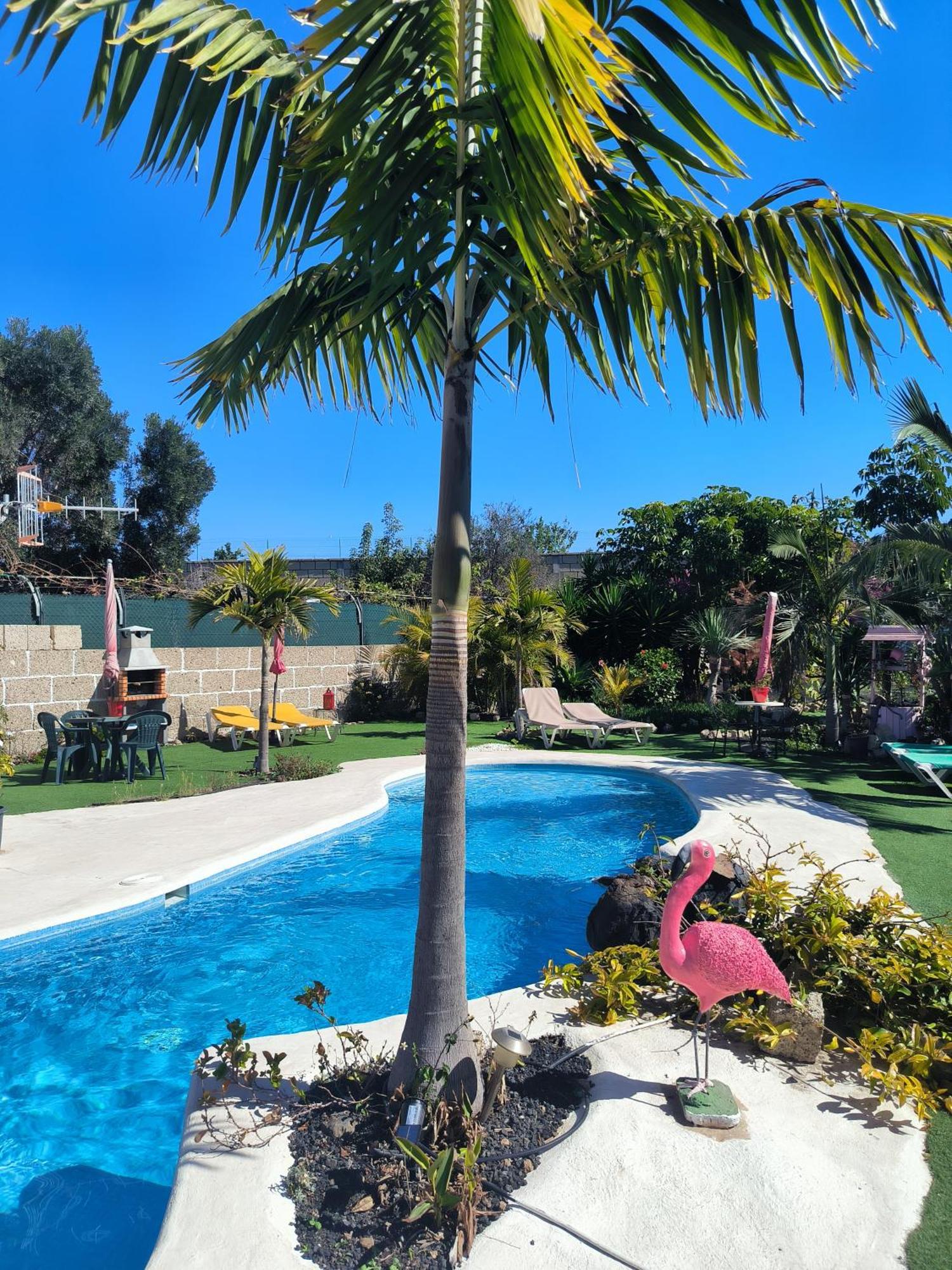 Villa Daita 2 Villa Daita 3 Гранаділья-де-Абона Екстер'єр фото